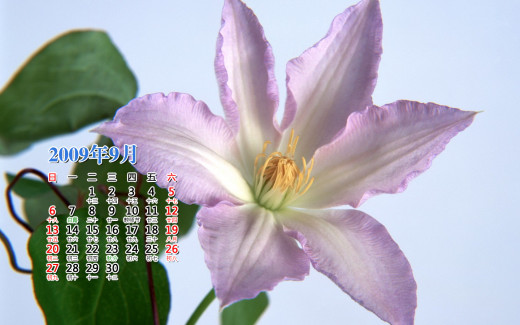 476299 (a): :1440x900